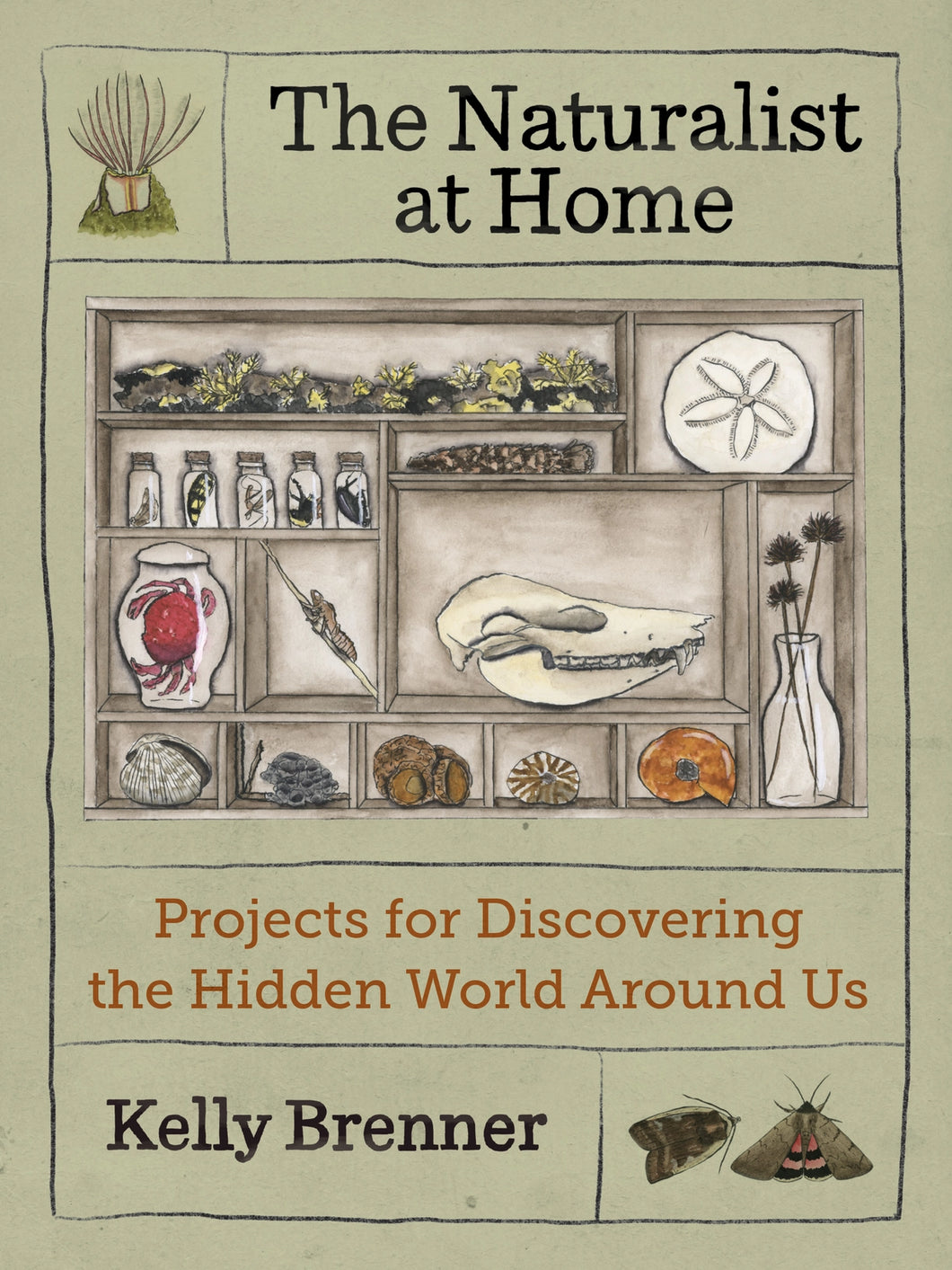 The Naturalist at Home Activity Book