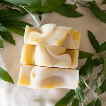 Load image into Gallery viewer, Citronella &amp; Carrot Handcrafted Palm Free Soap
