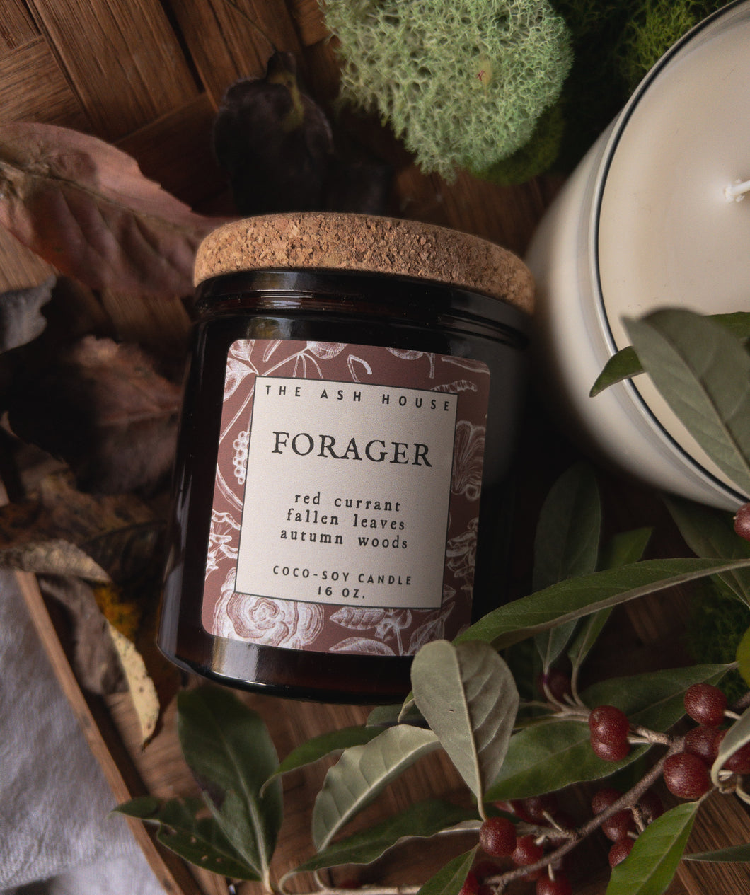 Forager Candle Collection