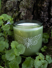 Load image into Gallery viewer, Cicada Song 8.5 oz Coco Soy Candle
