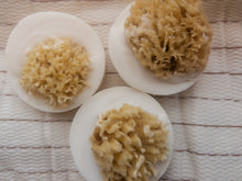 Load image into Gallery viewer, Salt &amp; Sea Soleseife Brine Sea Sponge Soap
