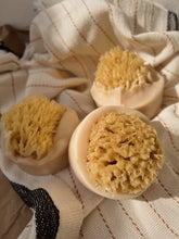 Load image into Gallery viewer, Vanilla &amp; Coconut Milk Sea Sponge Soap
